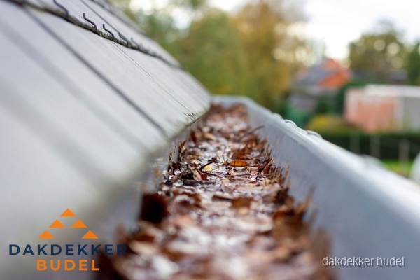 Verstopte dakgoot met bladeren schoonmaken in Budel Verstopte dakgoot met bladeren schoonmaken in Budel