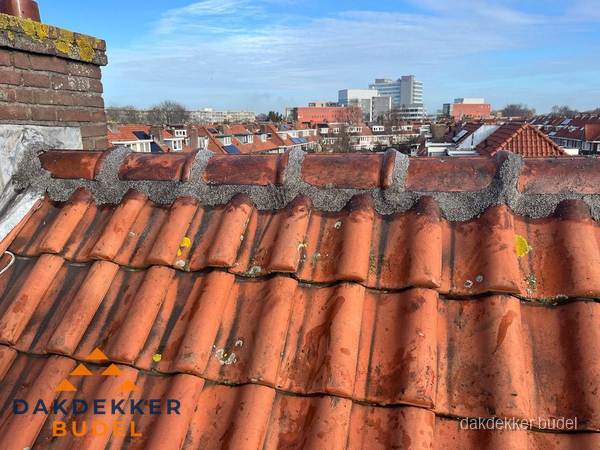 Pannendak met nokvorst en schoorsteen, dakrenovatie in Budel
