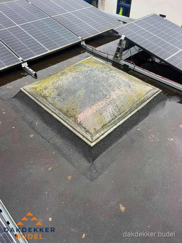 Vervuilde lichtkoepel op plat dak met zonnepanelen in Budel
