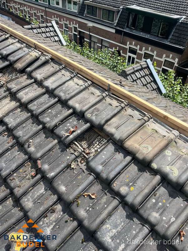 Dakonderhoud aan schuin pannendak met nokvernieuwing in Budel