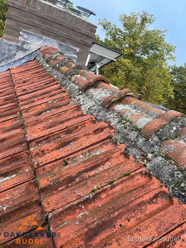 Verweerd hellend dak met mosgroei op nokvorst in Budel