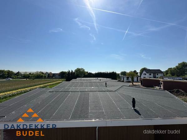 Groot plat dak met bitumen dakbedekking op bedrijfspand in Budel Groot plat dak met bitumen dakbedekking op bedrijfspand in Budel